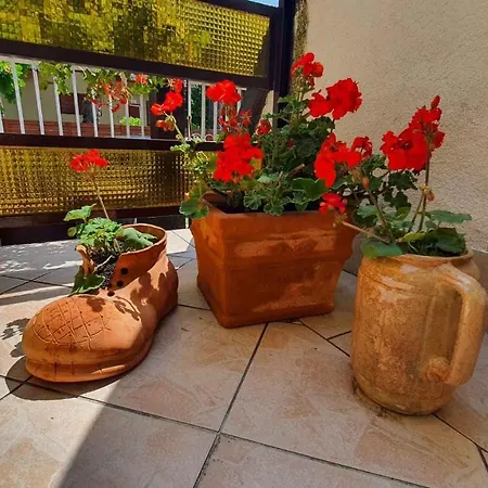 펜션 In - Balaton 19924 시오포크