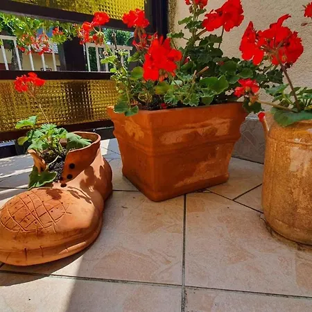 In - Balaton 19924 시오포크