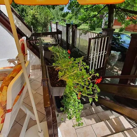 In - Balaton 19924 펜션 시오포크