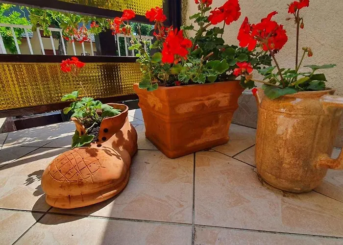 In - Balaton 19924 שיופוק