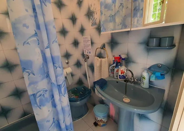 In - Balaton 19924 בית נופש שיופוק